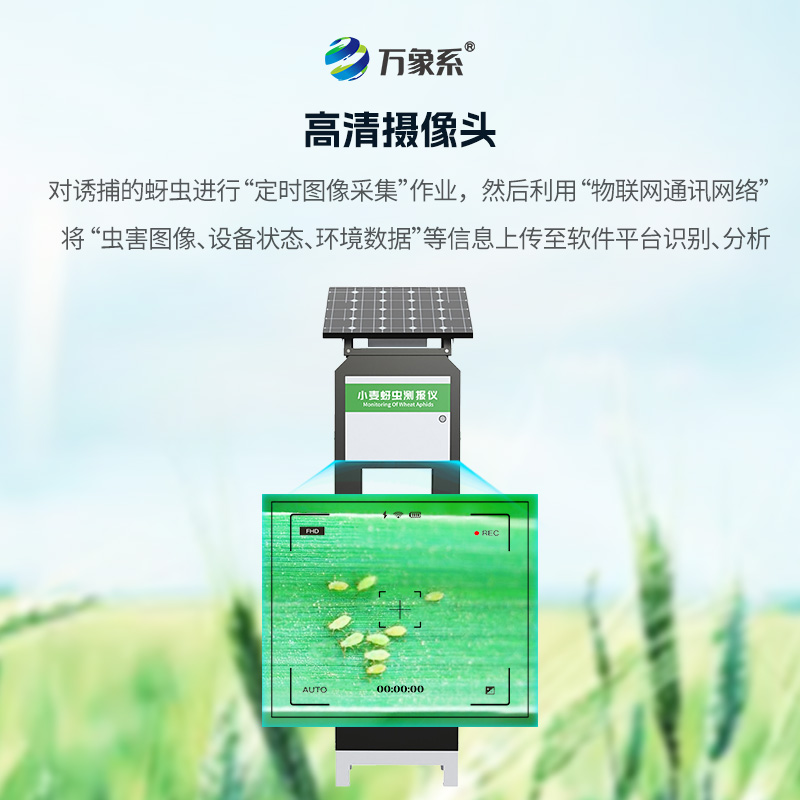 小麥蚜蟲在線監(jiān)測系統(tǒng)，小麥病害防治的利器之一
